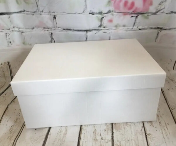 Tortenkarton Cake Box 51 x 46 x 15 cm